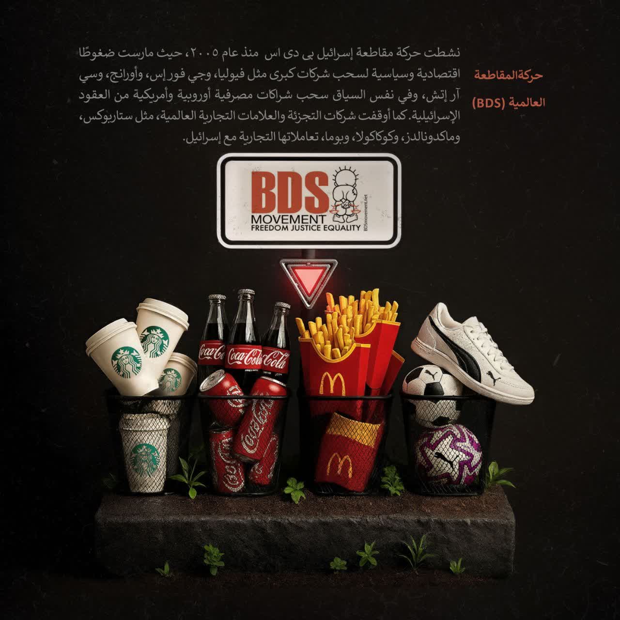 حركة المقاطعة العالمية (BDS)