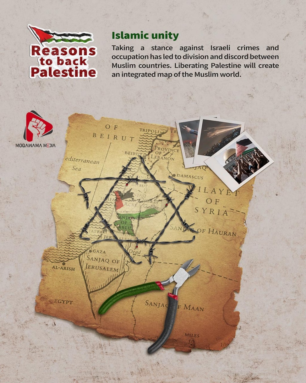 Reasons to back Palestine